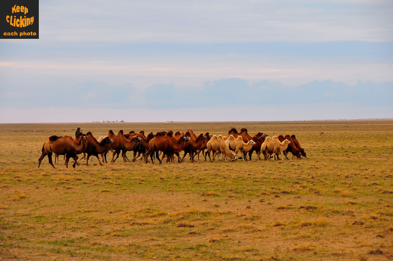 Kyrgyzstan - Asie Centrale